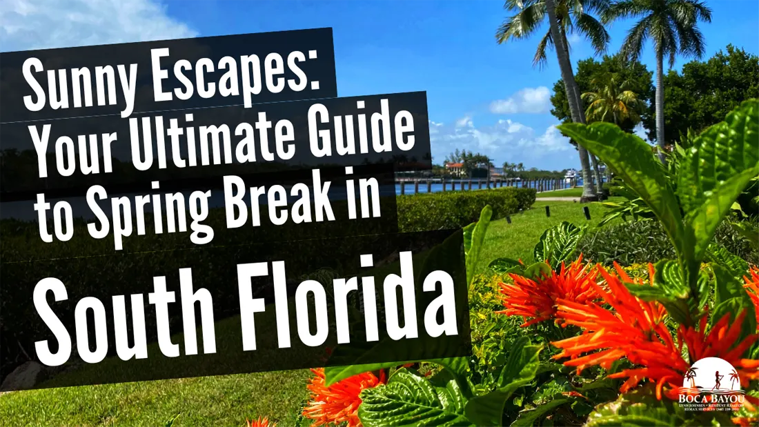 Sunny Escapes: Your Ultimate Guide to Spring Break in South Florida
